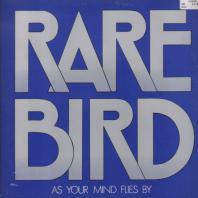 RARE BIRD -  As Your Mind Flies By