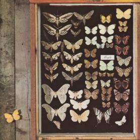 MAYFLY - Mayfly 