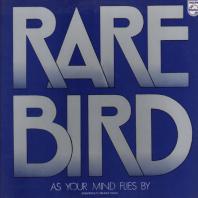 RARE BIRD - As Your Mind Flies By