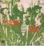 JETHRO TULL — This Was