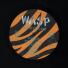 W.A.S.P. ‎- Inside The Electric Circus