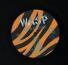W.A.S.P. ‎- Inside The Electric Circus