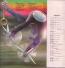 SCORPIONS — Fly To The Rainbow